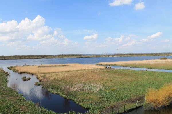 La Réserve Naturelle Nationale du Marais Vernier