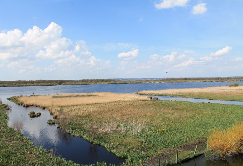 La Réserve Naturelle Nationale du Marais Vernier