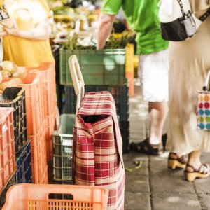 Fête de l&rsquo;hiver