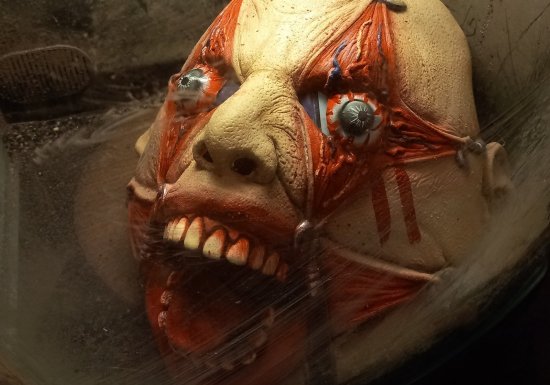 Galerie des Curiosités Larraincy Chasse au trésor « Sur la piste de Georges Edouard Larraincy »