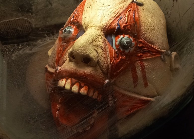 Halloween, même pas peur ! à la Galerie des Curiosités Larraincy
