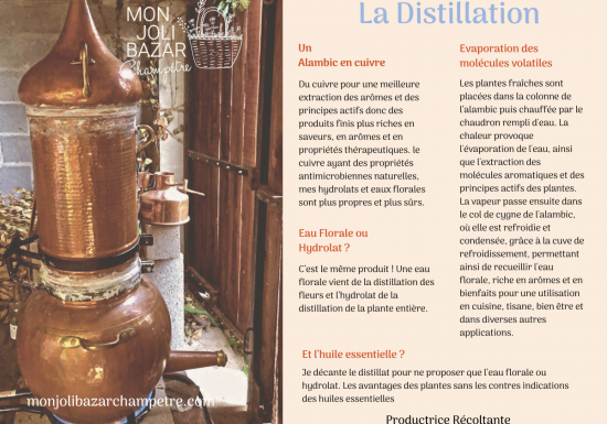 © Mon Joli Bazar Champêtre Mon Joli Bazar Champêtre – Paysanne herboriste, plantes à parfum, aromatiques et médicinales
