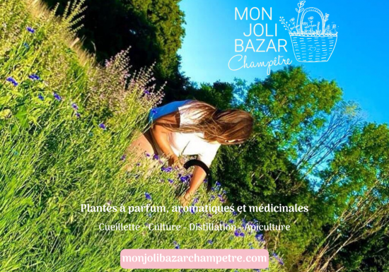 © Mon Joli Bazar Champêtre Mon Joli Bazar Champêtre – Paysanne herboriste, plantes à parfum, aromatiques et médicinales
