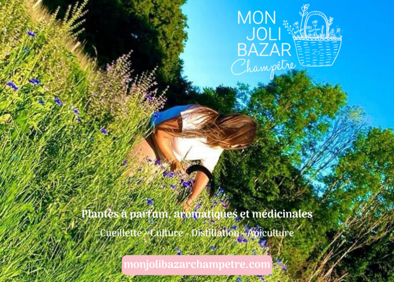 Mon Joli Bazar Champêtre – Paysanne herboriste, plantes à parfum, aromatiques et médicinales