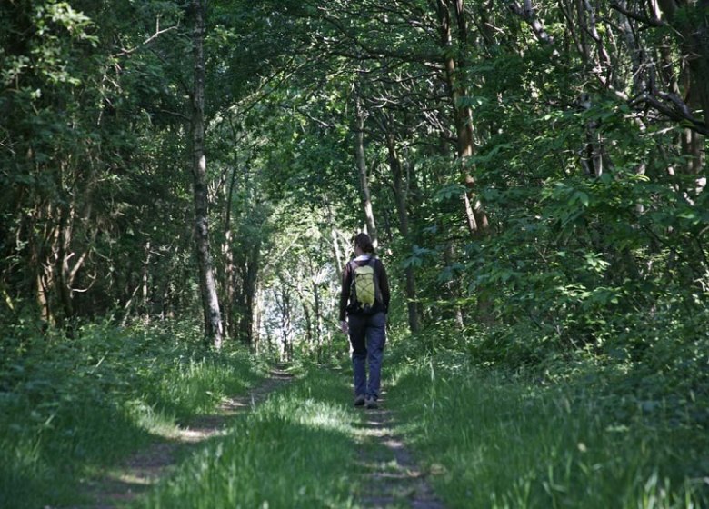 Espace Naturel Sensible : le Sentier des Bruyères