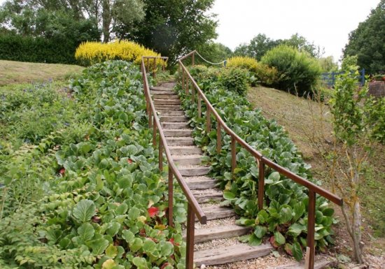 Moulin Amour Ecomusée – Moulin Amour