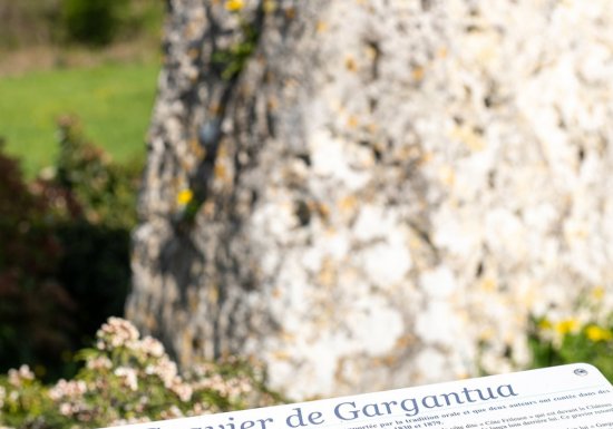 Gravier de Gargantua