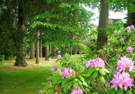 Arboretum d’Harcourt