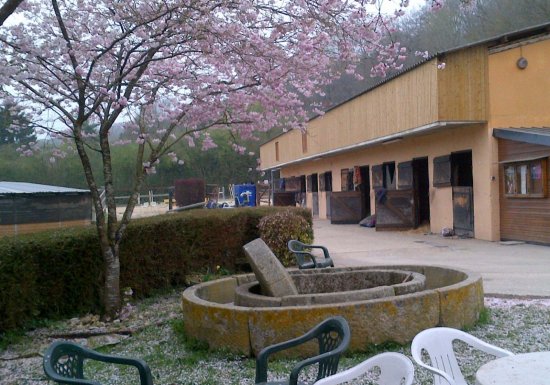 Espace Equestre du Bec Hellouin