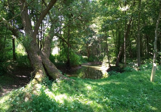 Sur la route de Compostelle