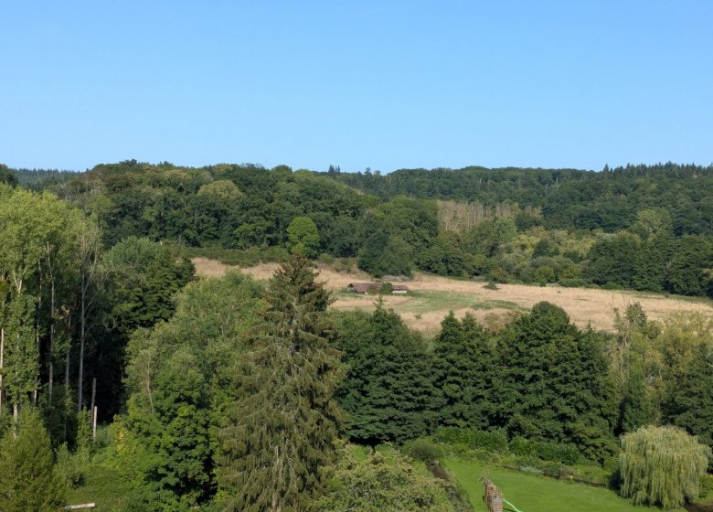 Sortie nature. À la découverte de la Vallée du Rouloir, 20.09.2025