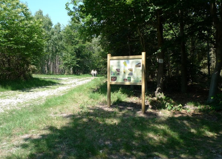 Espace Naturel Sensible : le Sentier des Bruyères