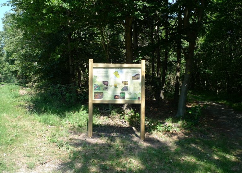 Espace Naturel Sensible : le Sentier des Bruyères