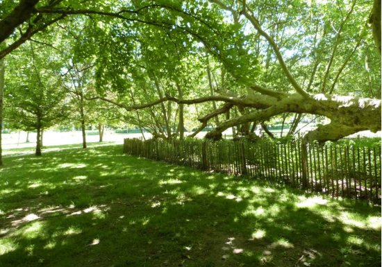 Parc Environnemental Frédéric Passy