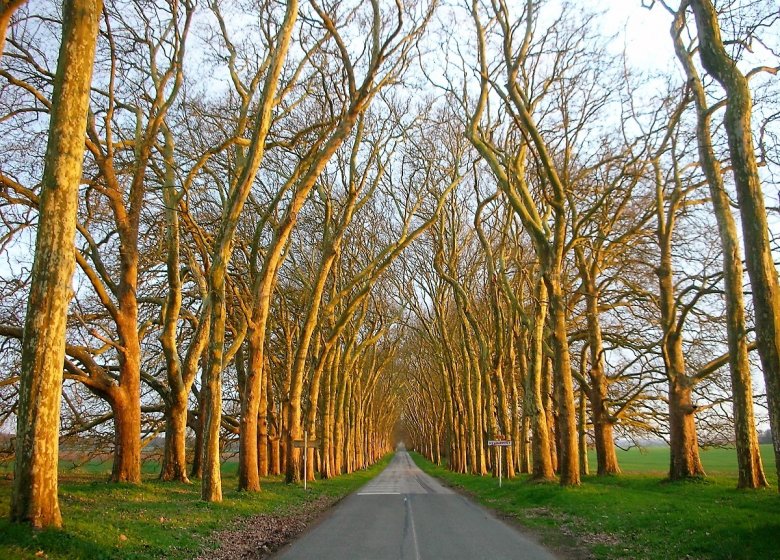 Parc et Château d’Heudicourt