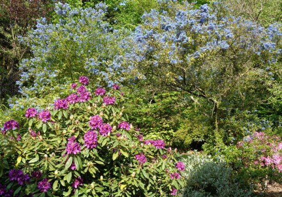 Parc arboré Luminosa