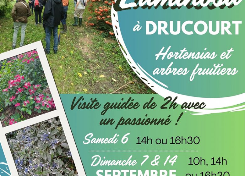 Visite commentée du parc arboré Luminosa sur le thème des hortensias et des arbres fruitiers.