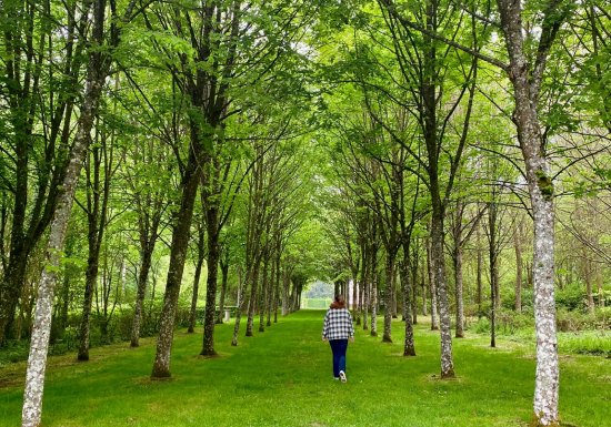 Parc et Château d’Heudicourt