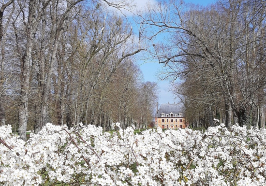 Parc du Domaine des Prévanches