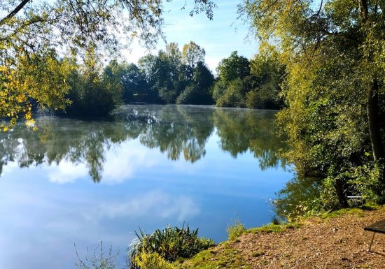 L’étang des cerises