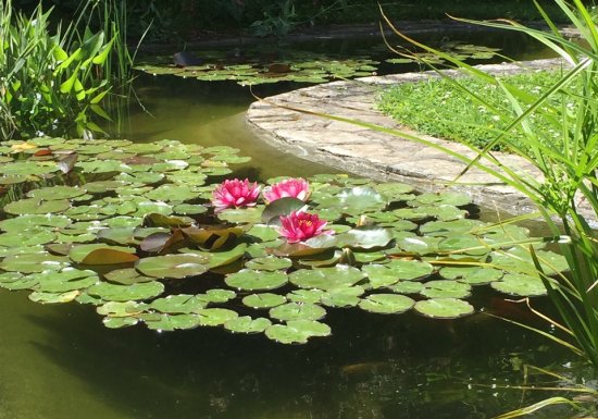 Gîte L’Atelier, classé 1 étoile