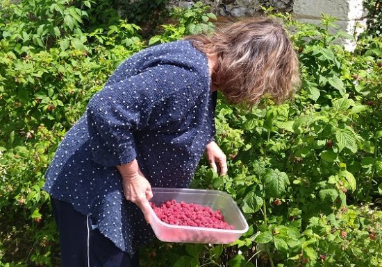 Les Plaisirs de Cri Cri