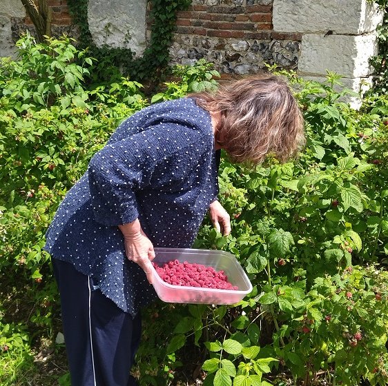 Les Plaisirs de Cri Cri