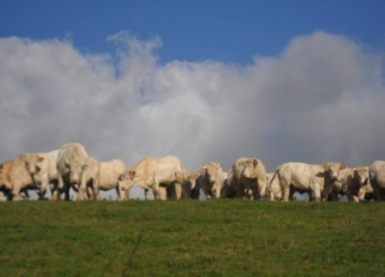 Ferme Durand