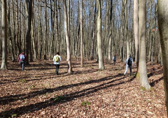 © Virginie Bouffay VOTRE BOUFFAY D’AIR – Sophro balade