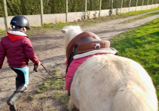 Haras de la Mare Hermier – Elevage- Promenade.