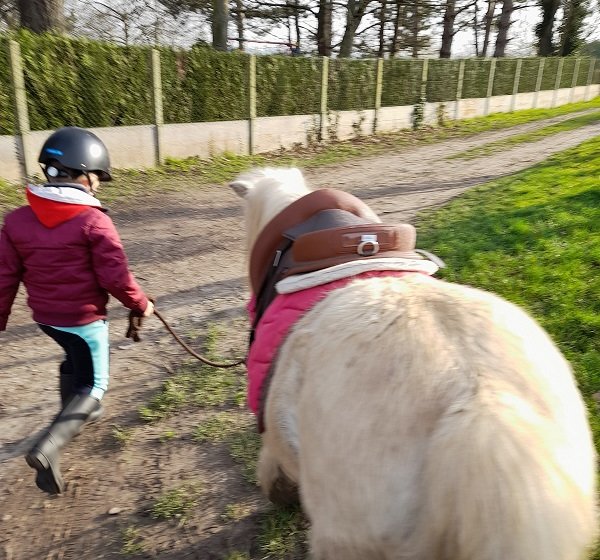 Haras de la Mare Hermier – Elevage- Promenade.