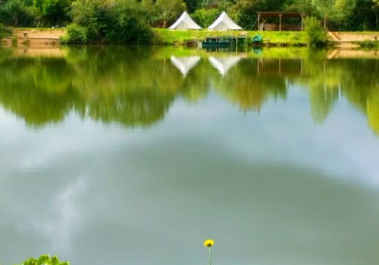 L’étang des cerises