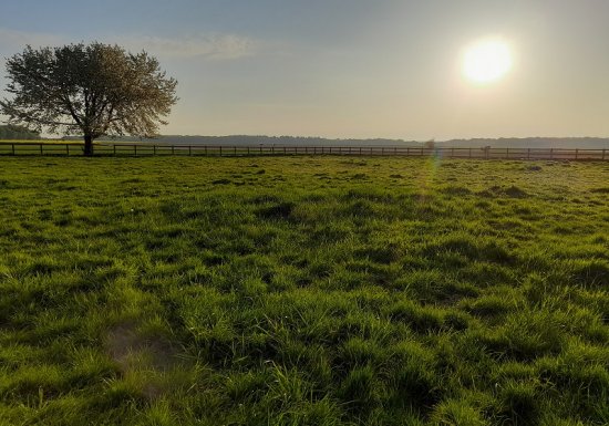 Haras de la Mare Hermier – Elevage- Promenade.