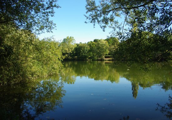 L’étang des cerises