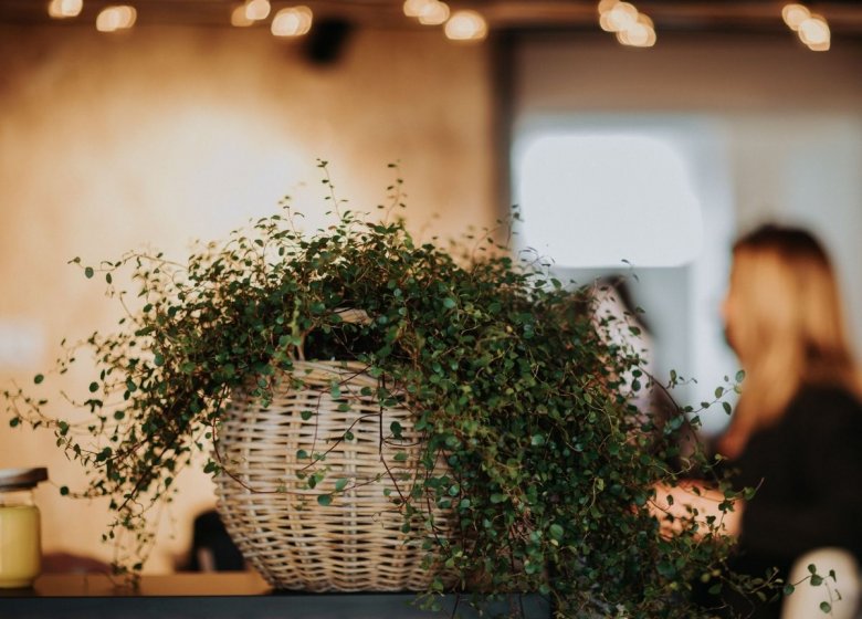 Le Café D&rsquo;Emy