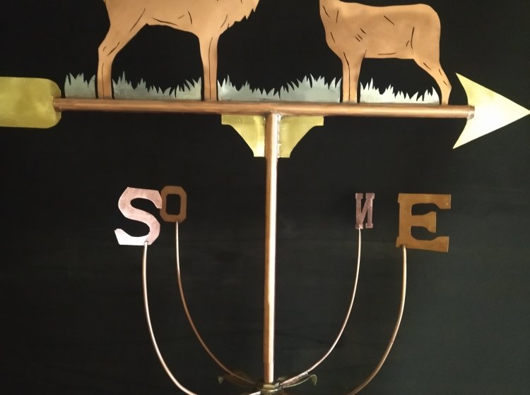 LES GIROUETTES DE DAVID