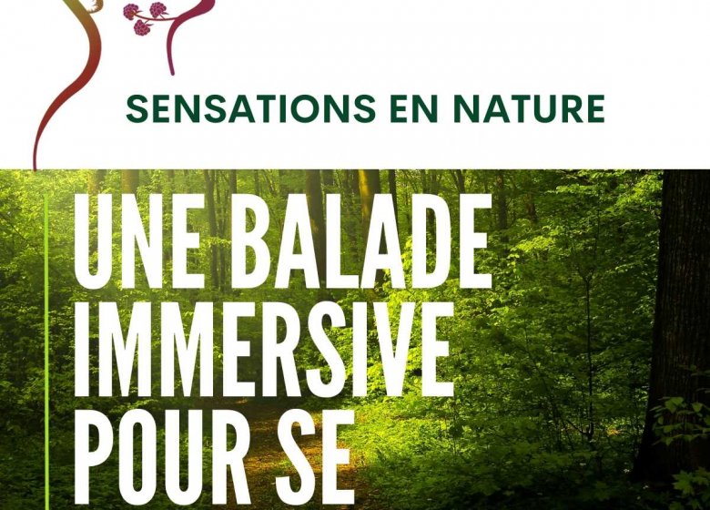 Mon Corps Ma Terre
