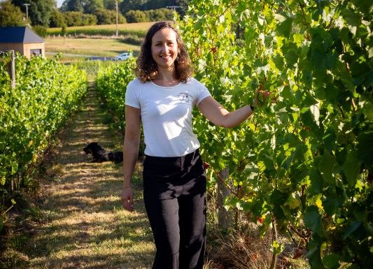 Vignoble Leprince Normandie