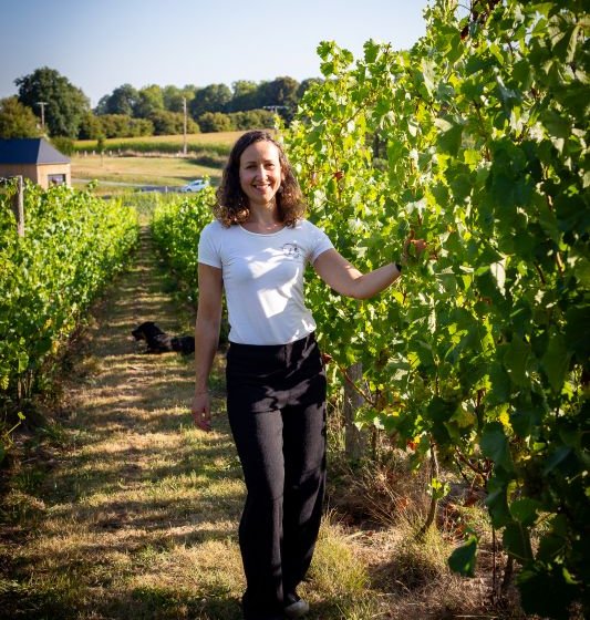 Vignoble Leprince Normandie