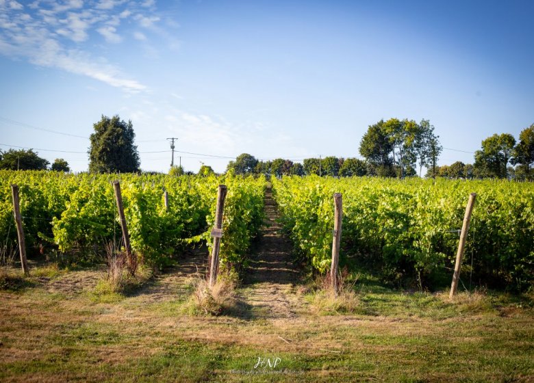 Vignoble Leprince Normandie