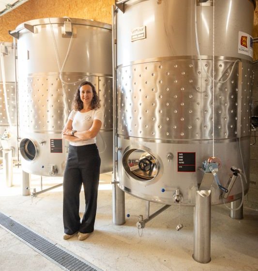 Vignoble Leprince Normandie