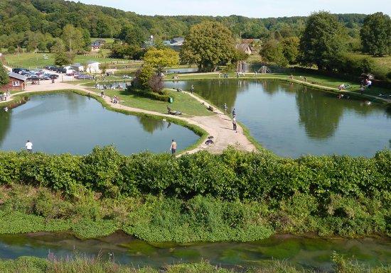 Pisciculture de la Calonne