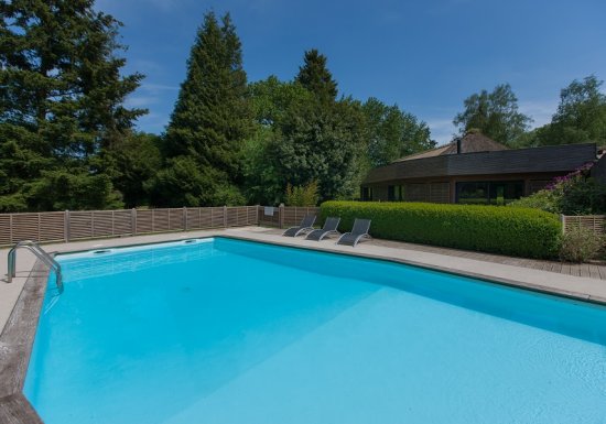 Le Petit Coq aux Champs