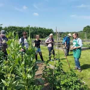 Atelier taille des fruitiers