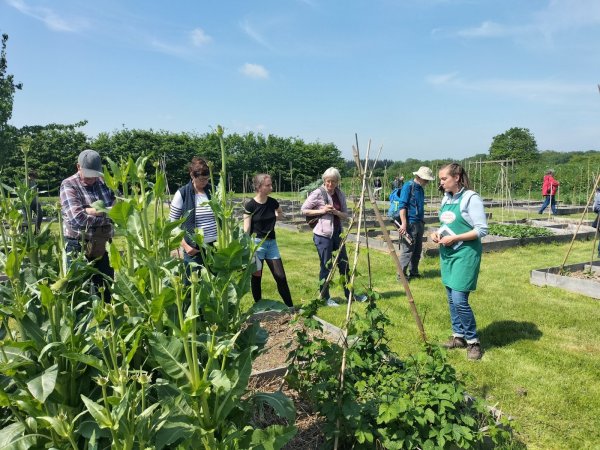 Atelier taille des fruitiers