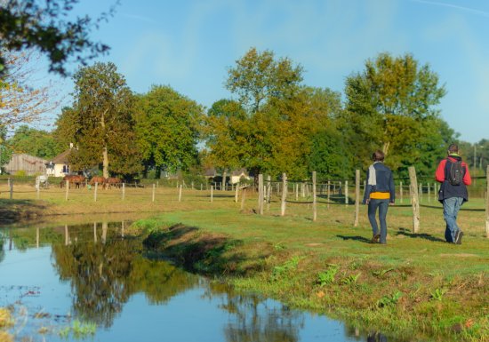 Que lit-on dans le lit de l&rsquo;Iton ?