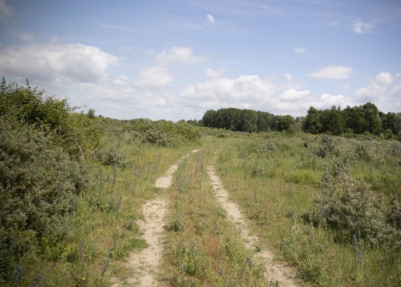 Espace Naturel Sensible : le sentier de l’Argousier