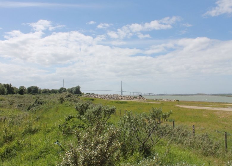 Espace Naturel Sensible : le sentier de l’Argousier