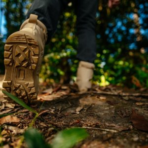 Randonnée autour de Beaumont Le Roger