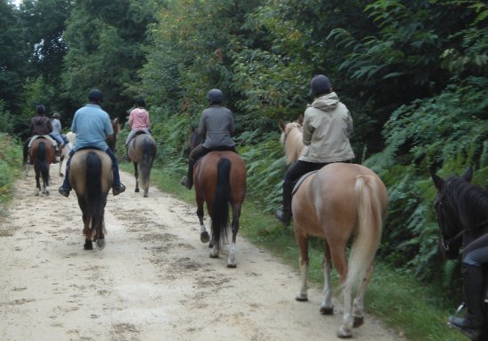 Le Retour aux Sources